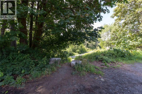 Lt B Allen Ave, Cumberland, BC V0R1S0 Photo 5