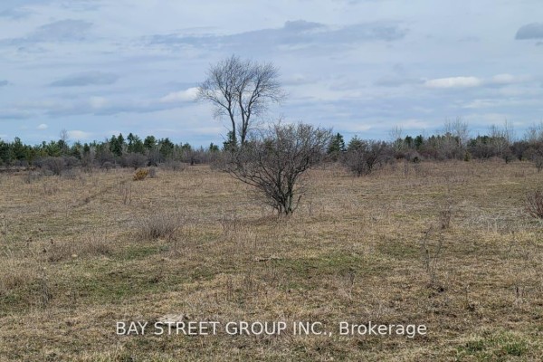 Lt24 Con4 Elfon Road, Kawartha Lakes, ON K0K2T0 Photo 2