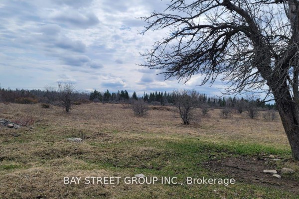 Lt24 Con4 Elfon Road, Kawartha Lakes, ON K0K2T0 Photo 3
