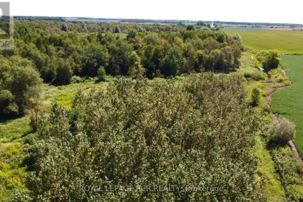 Dense green trees and foliage cover this rural landscape with a clear sky above. - Lt26&27 Wellington Rd 109 N, Wellington North