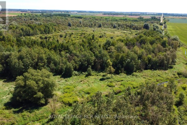 Expansive aerial view of green landscape with scattered trees, brush, and distant fields. - Lt26&27 Wellington Rd 109 N, Wellington North