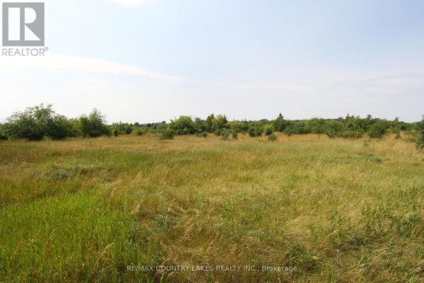 Lt7 County Road 48, Brock, ON L0K1A0 Photo 5