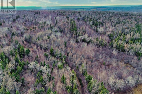 Maceachern Road, Judique North, NS B0E1P0 Photo 3