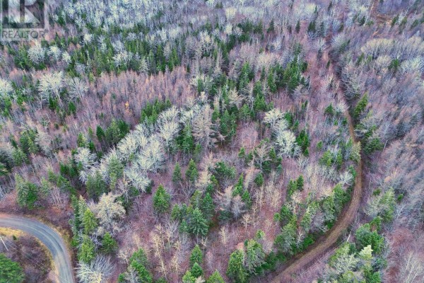 Maceachern Road, Judique North, NS B0E1P0 Photo 5