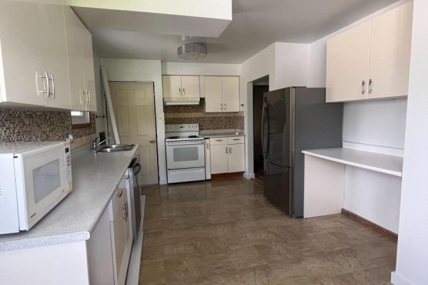 Main - 154 Weber Street N, Waterloo, ON, photo 3