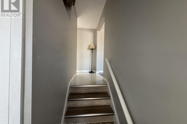 Main - 219 Mcmurchy Avenue, Brampton, ON, photo 3