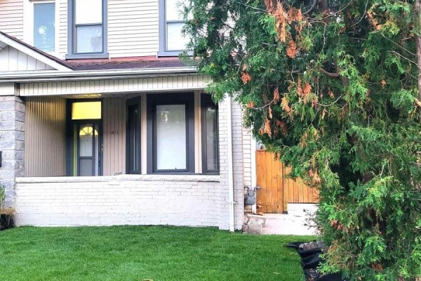 Main - 49 Vine Avenue, Toronto, ON, photo 2