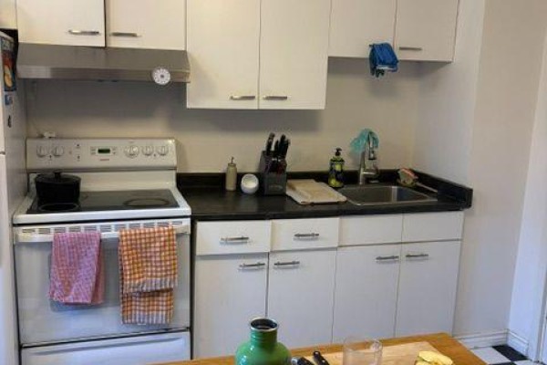 Kitchen - Main - 67 Brunswick Avenue, Toronto, ON M5S2L8 Photo 3