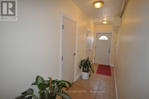 Laundry room - Main-fl - 183 Harold Street, Brampton, ON L6Y2G3 Photo 4