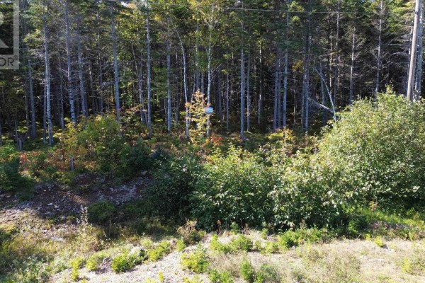 Marble Mountain Road, Big Harbour, NS B0E2Y0 Photo 5