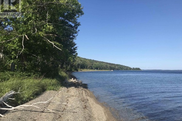 Shoreline view with sandy beach, trees, and calm water. - Marble Mountain Road, Lime Hill