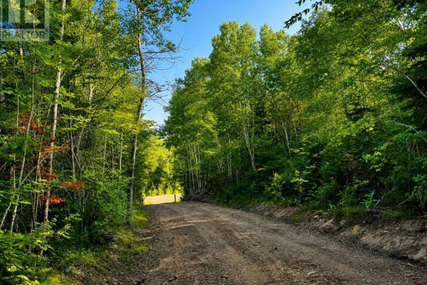 Marble Mountain Road, Marble Mountain, NS B0E2Y0 Photo 5