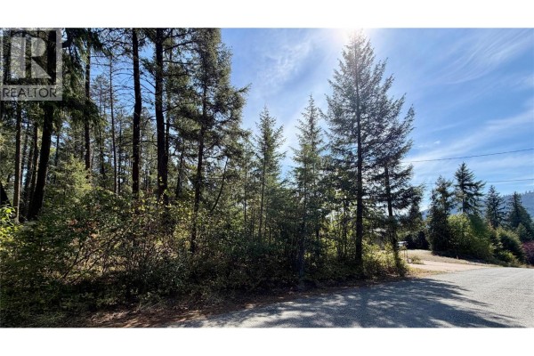 Massie Road Lot# 8, Christina Lake, BC V0H1E0 Photo 5