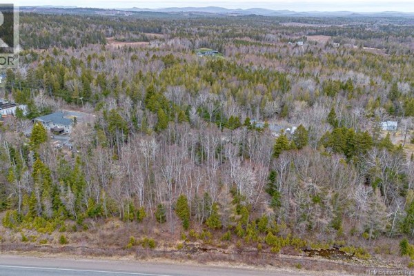 Aerial view showing property boundaries along a road with scattered houses and trees. - Mckay Loop Road, Pennfield