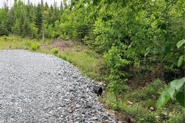 Meadow Cove Road, Musquash, NB E5J1Y5 Photo 4
