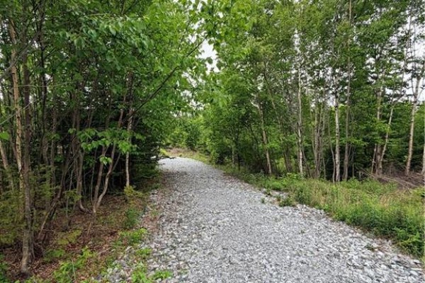 Meadow Cove Road, Musquash, NB E5J1Y5 Photo 5