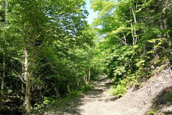 Meat Cove Road, Meat Cove, NS B0C1E0 Photo 4