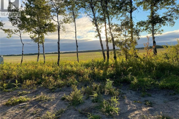 Meyer 10.02 Acres, Rocanville Rm No  151, SK S0A3L0 Photo 4