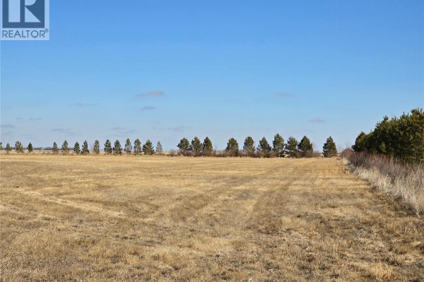 Dry grass field with a line of pine trees on the right. - Minards South Lot 8, Weyburn Rm No  67