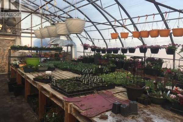 Misty Meadows Greenhouse Ltd., Meadow Lake, SK S9X1Y6 Photo 3