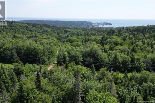 Money Cove Brook, Grand Manan, NB, photo 3