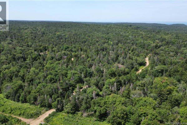 Money Cove Brook, Grand Manan, NB E5G1L8 Photo 5