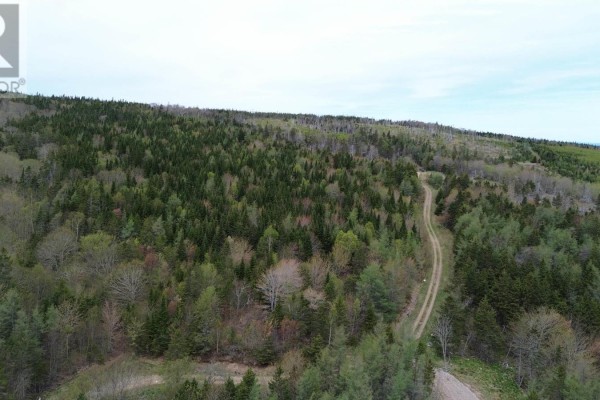 Morrison Road, Oban, NS B0E3B0 Photo 5