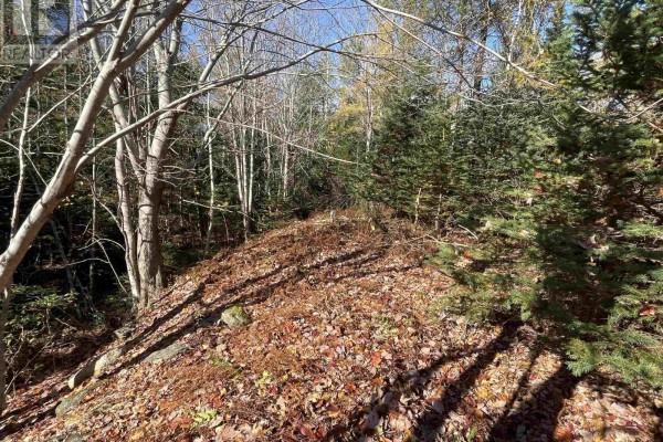 Mosher Road, Conrod Settlement, NS B0J2L0 Photo 2