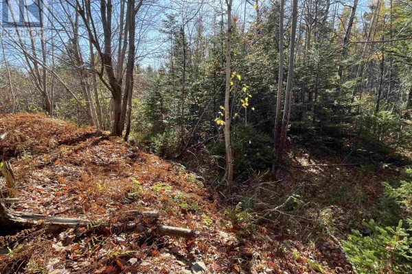 Mosher Road, Conrod Settlement, NS B0J2L0 Photo 3