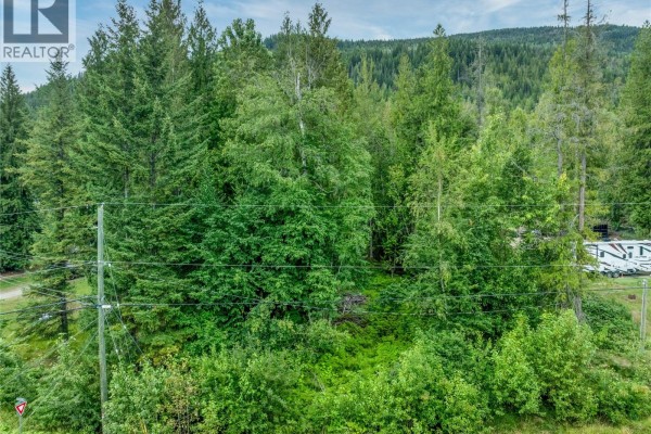 Mountain Drive Lot# 40, Anglemont, BC V0E1M8 Photo 3