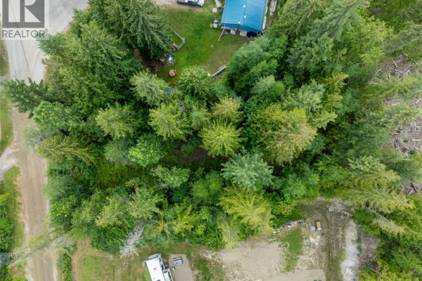 Mountain Drive Lot# 40, Anglemont, BC V0E1M8 Photo 4