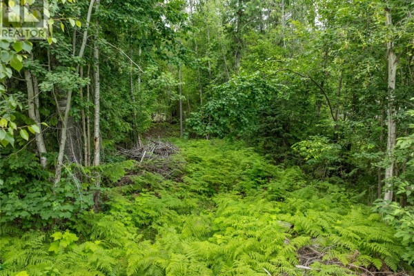 Mountain Drive Lot# 40, Anglemont, BC V0E1M8 Photo 5