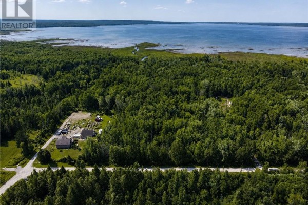Aerial view of wooded property with houses and a large body of water in background. - N/a 4th Line, Gore Bay
