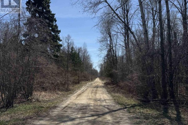 N/a 8th Concession, Georgina, ON L0E1A0 Photo 4