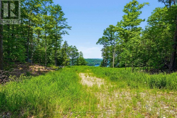 Clearing in a forest with tall grass and a dirt path leading towards a distant lake view. - N/a Adeline Trail, Dysart Et Al