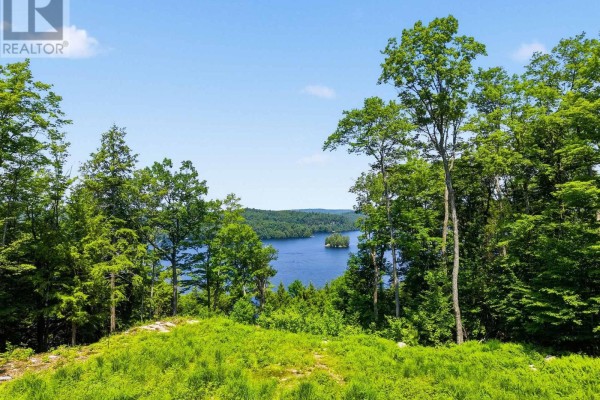 View through trees of a blue lake and green islands under a clear sky. - N/a Adeline Trail, Dysart Et Al