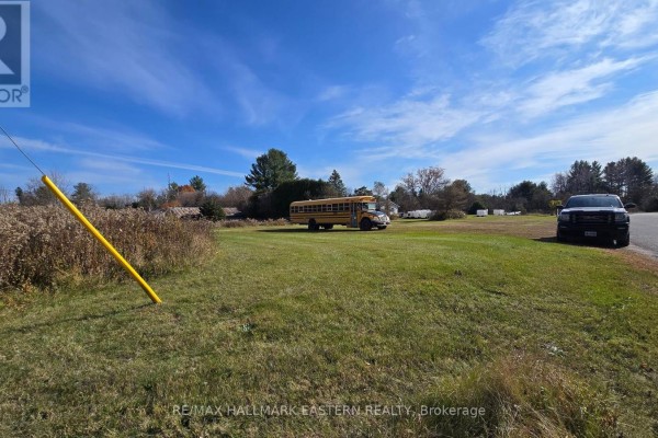 A yellow school bus parked on a grassy field with a bright blue sky. - N/a Andrew Street, Havelock Belmont Methuen