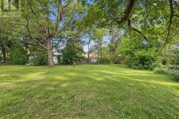 Overgrown natural vegetation and trees in the rear of the property lot. - N/a Bunting Road, St  Catharines