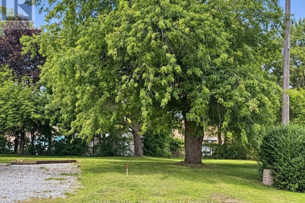 View of Bunting Road from the property, with a mailbox and driveway entrance. - N/a Bunting Road, St  Catharines