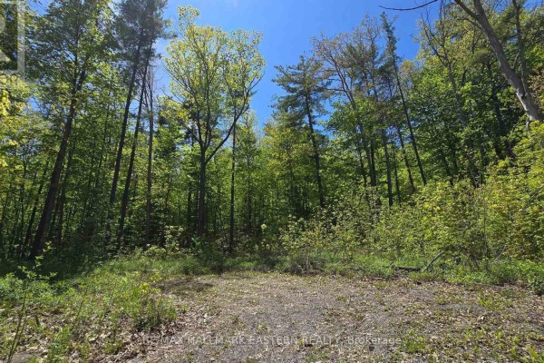 N/a County Road 30, Trent Hills, ON K0L1L0 Photo 4