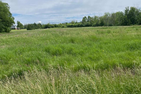 N/a Highway 48, Georgina, ON L0E1N0 Photo 2