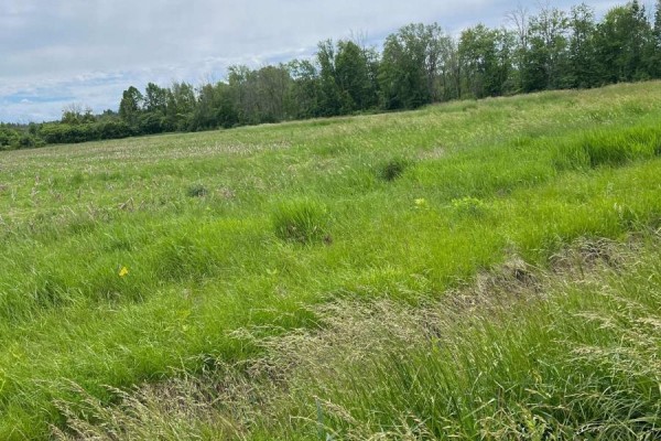N/a Highway 48, Georgina, ON L0E1N0 Photo 4