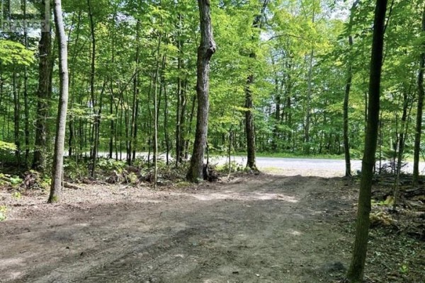 N/a Monument Road, Spring Bay, ON P0P2N0 Photo 2