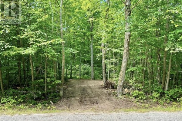 N/a Monument Road, Spring Bay, ON P0P2N0 Photo 4