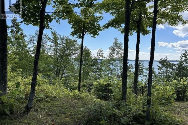 N/a Monument Road, Spring Bay, ON P0P2N0 Photo 5