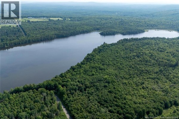 Aerial view of a wide lake and shoreline surrounded by dense green forest under a clear sky. - N/a Mud Lake Road, Upper Skiff Lake