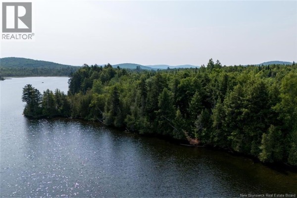 Aerial view of a forest-covered shoreline on a dark lake with trees extending to the water's edge. - N/a Mud Lake Road, Upper Skiff Lake
