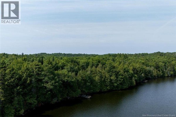 Aerial view of a dense green forest bordering a dark body of water under a bright sky. - N/a Mud Lake Road, Upper Skiff Lake