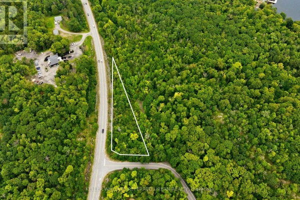 Aerial view of a serene lake bordered by dense, green forest and homes. - 17 Lot, Muskoka Lakes