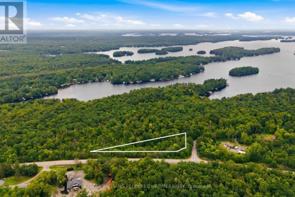 Top-down aerial view of a grey paved road cutting through a dense green forest. - 17 Lot, Muskoka Lakes